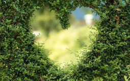 hoerflug-dj-agentur-koeln-hocheits-djs-herz