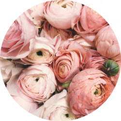 hoerflug-hochzeits-djs-koeln-hochzeit-dj-rosa